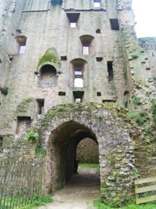 chateau de clisson  french castles 